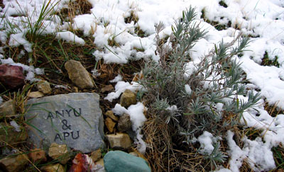 Mini-Grabstein der Grosseltern in Südfrankreich - der Lavendel begleitete meinen Grossvater im Spitalzimmer, wo er 2007 starb
