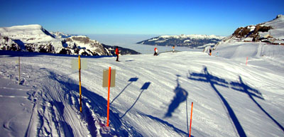 Nebelmeer in verschiedenen Variationen am 30. Januar 2009 - Klicken für mehr Bilder Nebelmeer in verschiedenen Variationen am 30. Januar 2009 - Klicken für mehr Bilder