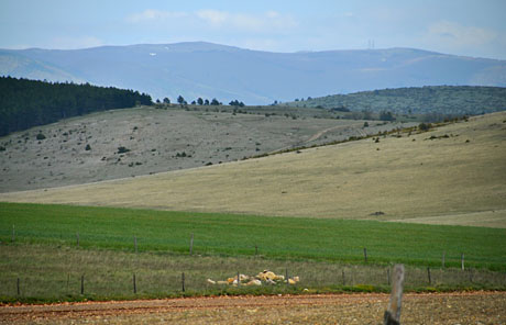 Auf der Causse Méjean, 17. Mai 2010
