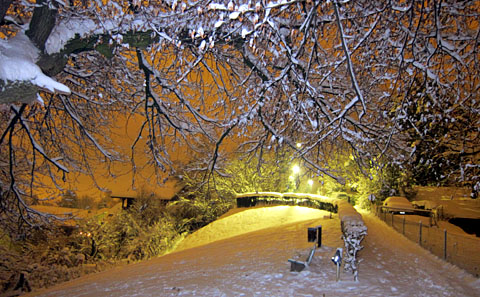 Nacht-Winterspaziergang im Berner Steinhölzli, 1. Dezember 2010