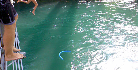 Doch noch vier Tage am Stück täglich in der Aare: Nach einem verregnet-kühlen Juli und Anfang August setzt der Sommer 2011 zum Endspurt an