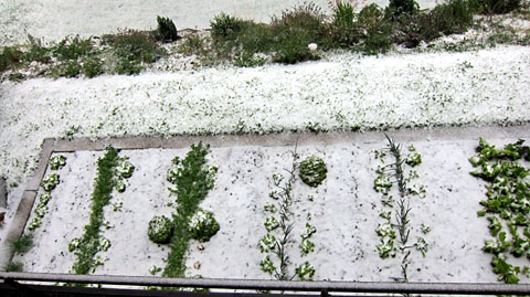Von 30 Grad zu einem Grad: Schnee in Sedrun nach einer stürmischen Nacht, 27. August 2011