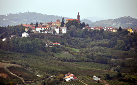 Castel Rocchero, September 2012