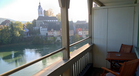 Rebstock Laufenburg, Oktober 2012 Rebstock Laufenburg, Oktober 2012