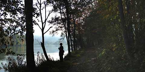 Am Hochrhein, 21. Oktober 2012 Am Hochrhein, 21. Oktober 2012